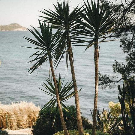 Hotel Provencal Hyeres Bagian luar foto