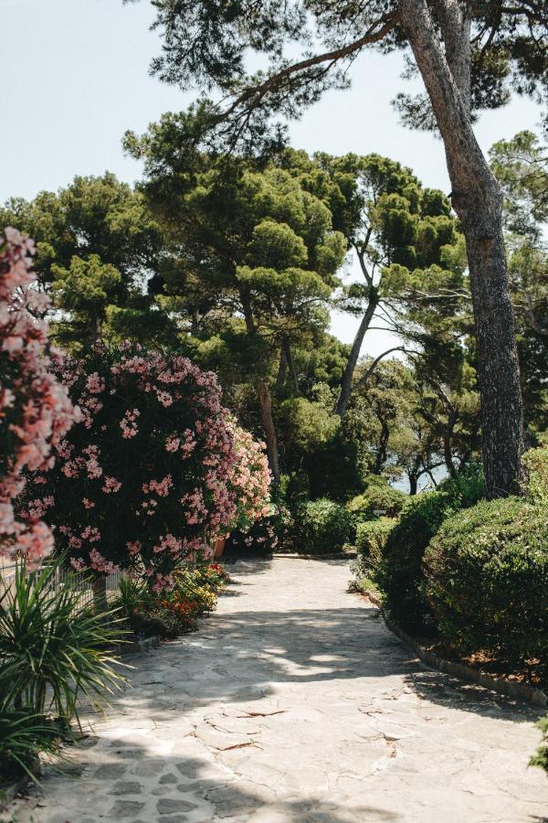 Hotel Provencal Hyeres Bagian luar foto